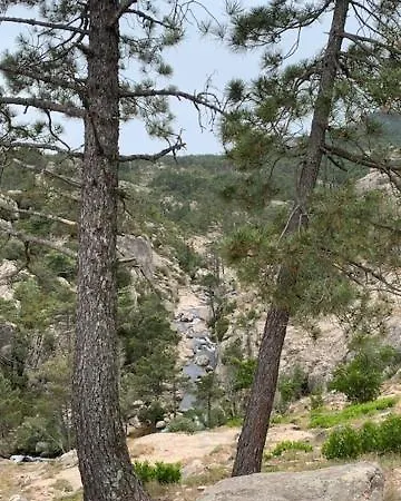 Casa Laurel *
